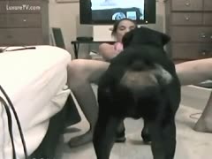 In this clip from a beastiality film, a large, black dog makes love to a skinny, legal-age kid.